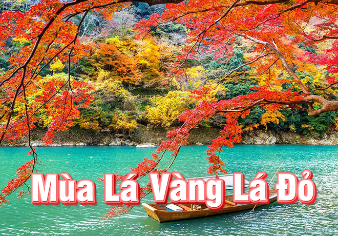 Tour mùa lá vàng lá đỏ