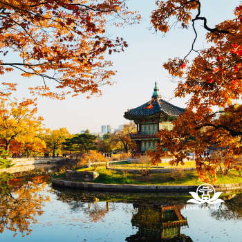 Tour Hàn Quốc: Hà Nội – Seoul – Nami – Elysian – Lotte World 5n4đ - Bay VN