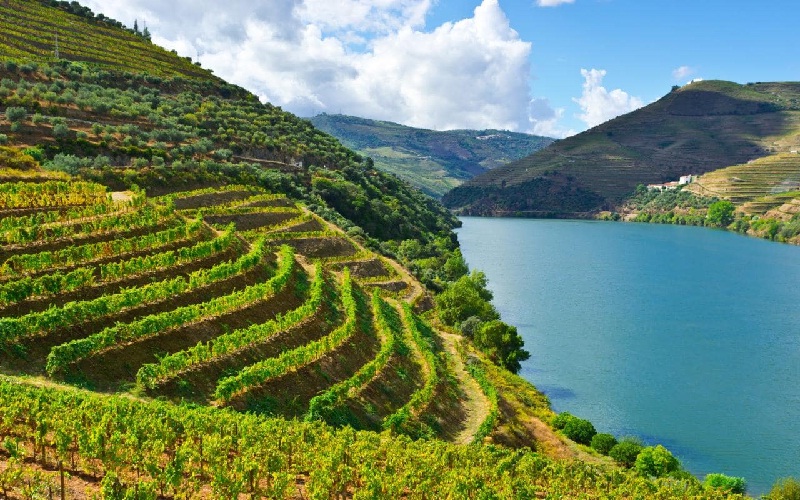 Douro, Bồ Đào Nha