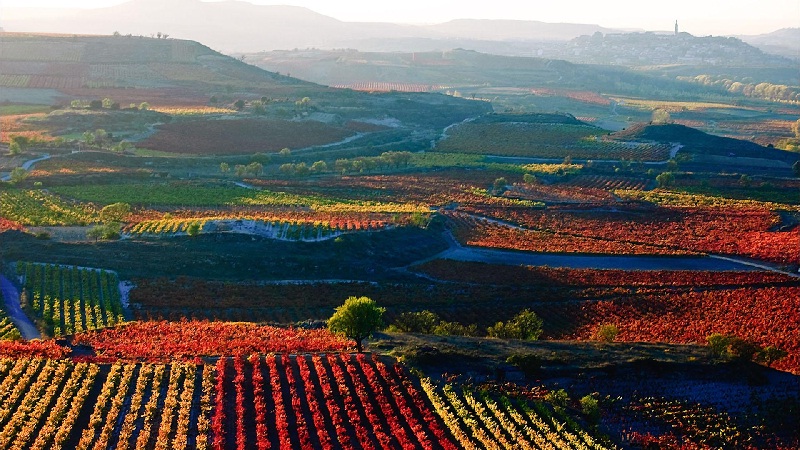 Rioja, Tây Ban Nha